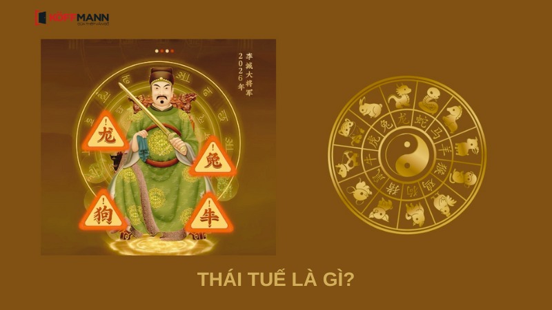 tim hieu thai tue la gi