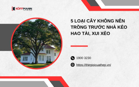 5 loại cây không nên trồng trước nhà