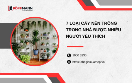 7 loại cây nên trồng trong nhà được nhiều người yêu thích