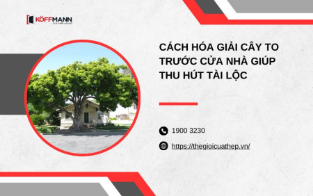 Cách hóa giải cây to trước cửa nhà