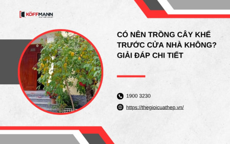 Có nên trồng cây khế trước cửa nhà không?