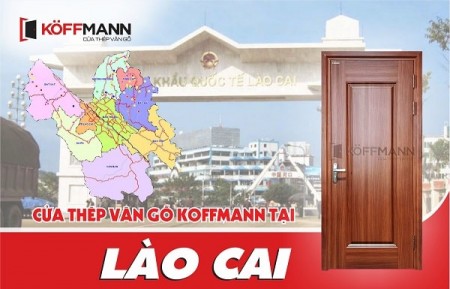 Lắp đặt uy tín cửa thép vân gỗ tại Lào Cai