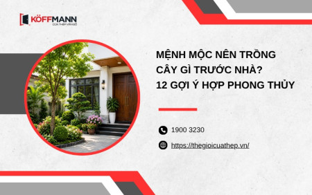 Mệnh Mộc nên trồng cây gì trước nhà? 12 gợi ý hợp phong thủy
