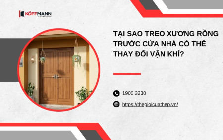 Tại sao treo xương rồng trước cửa nhà có thể thay đổi vận khí?
