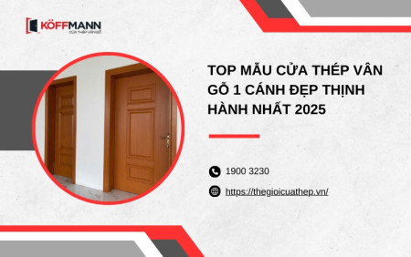mẫu cửa thép vân gỗ 1 cánh đẹp