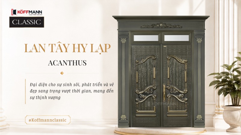 thiet ke lan tay hy lap acanthus sang trong