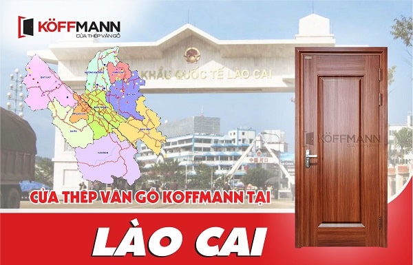 Lắp đặt uy tín cửa thép vân gỗ tại Lào Cai