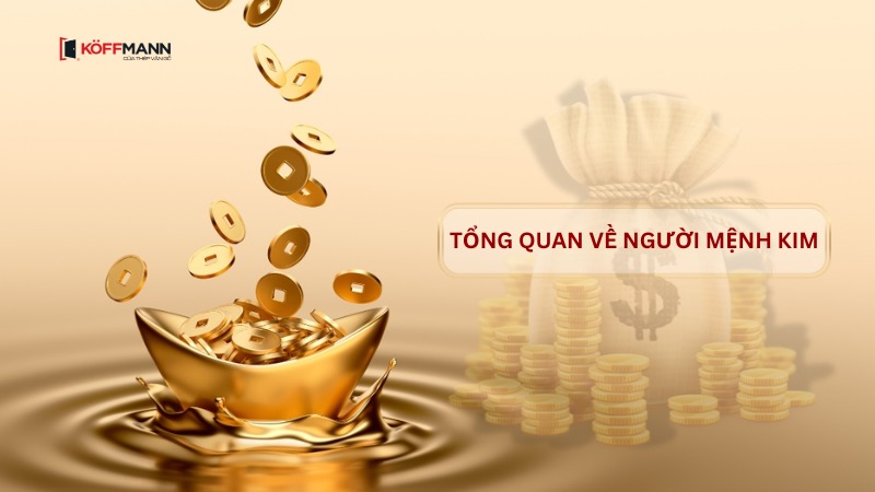 tong quan ve nguoi menh kim
